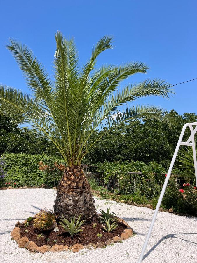 Horta Do Monte Holiday home Estremoz